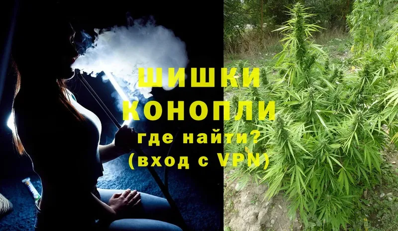 Конопля OG Kush  Ахтубинск 